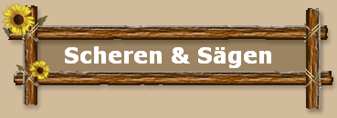 Scheren & Sgen